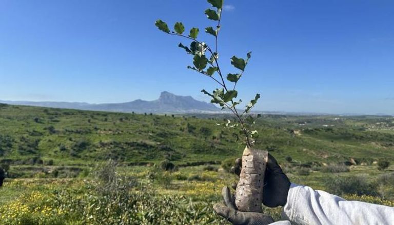 تونس تطلق مشروع 'الحزام الأخضر' لمقاومة تدهور الأراضي